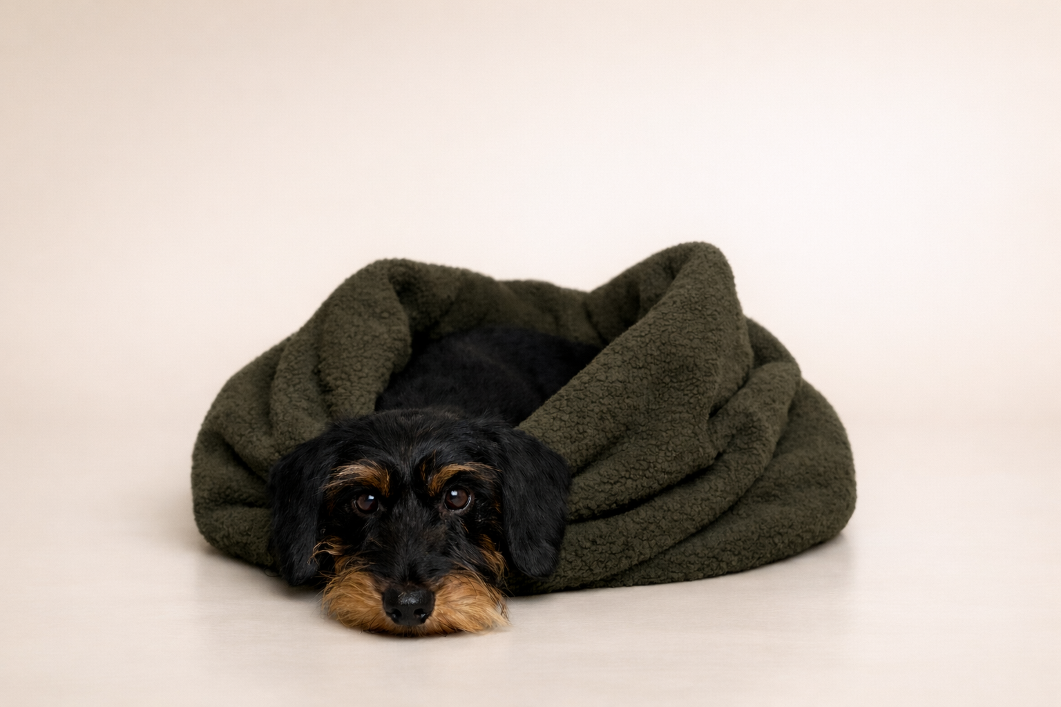 KUSCHELNESTCHEN OLIV