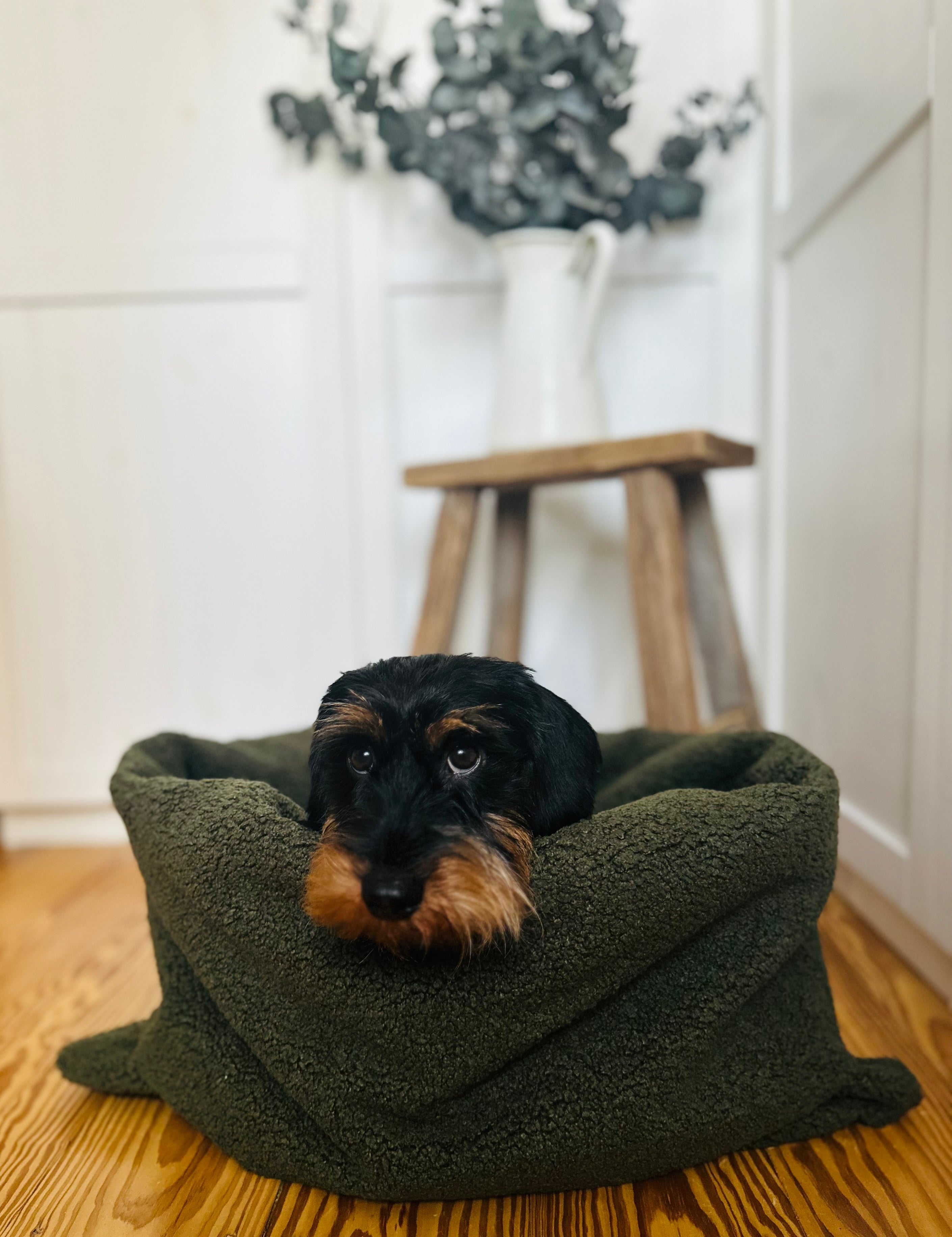 KUSCHELNESTCHEN OLIV