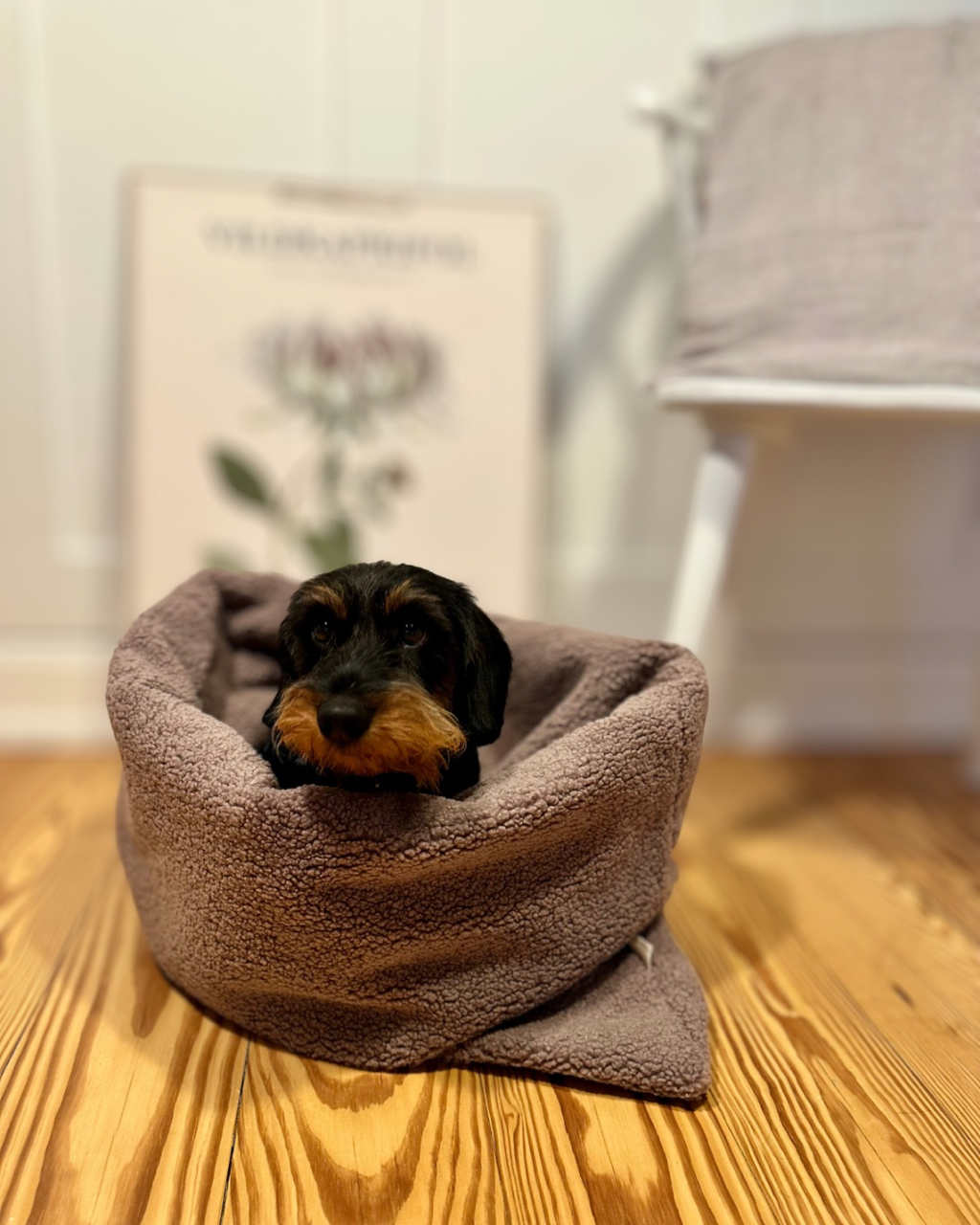 Kuschelnestchen 2