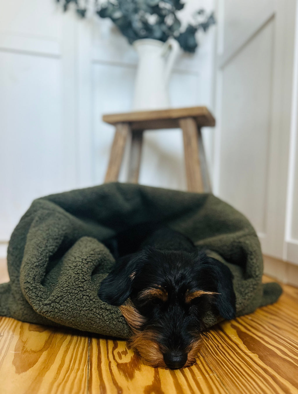 KUSCHELNESTCHEN OLIV