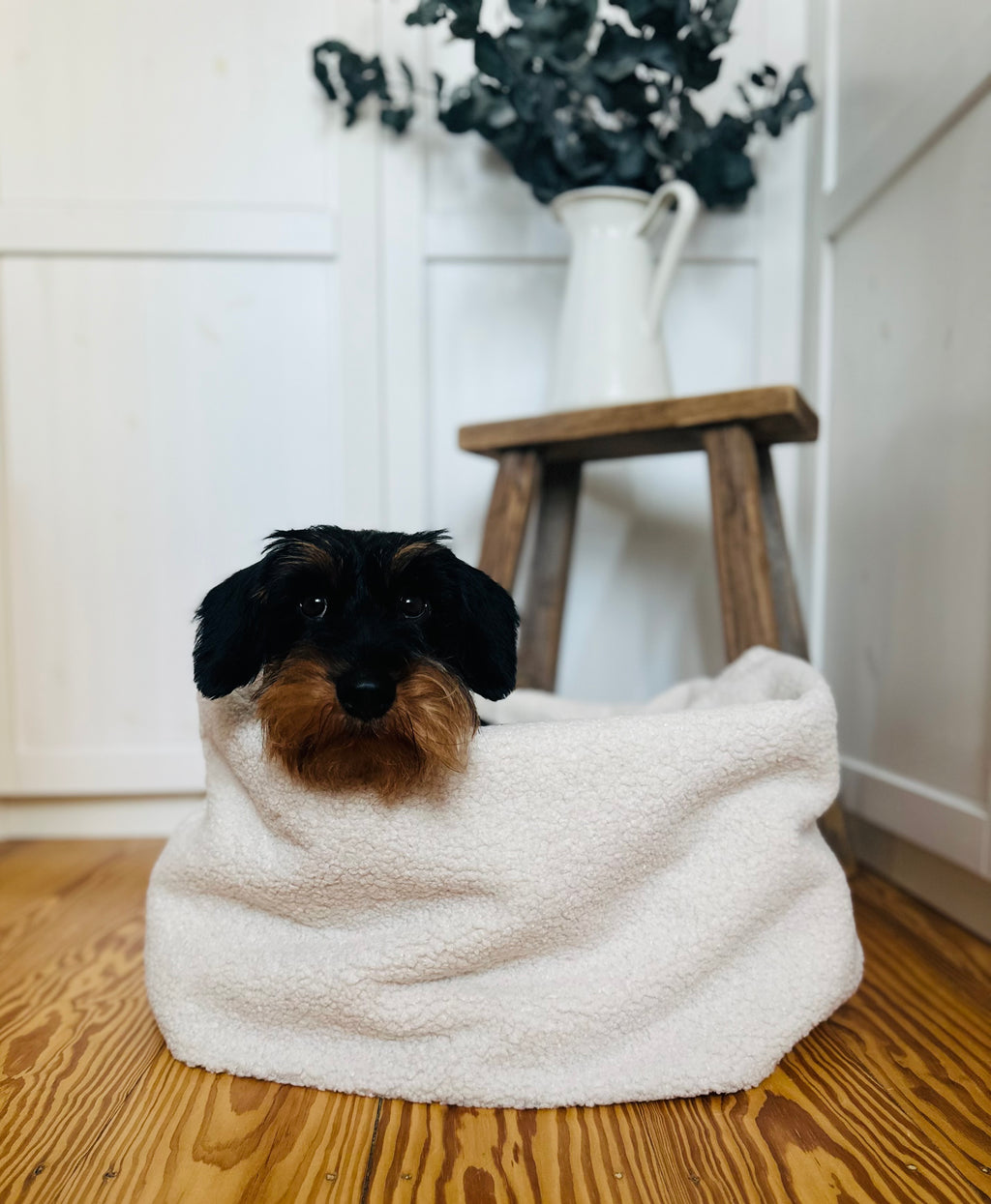 KUSCHELNESTCHEN CREME