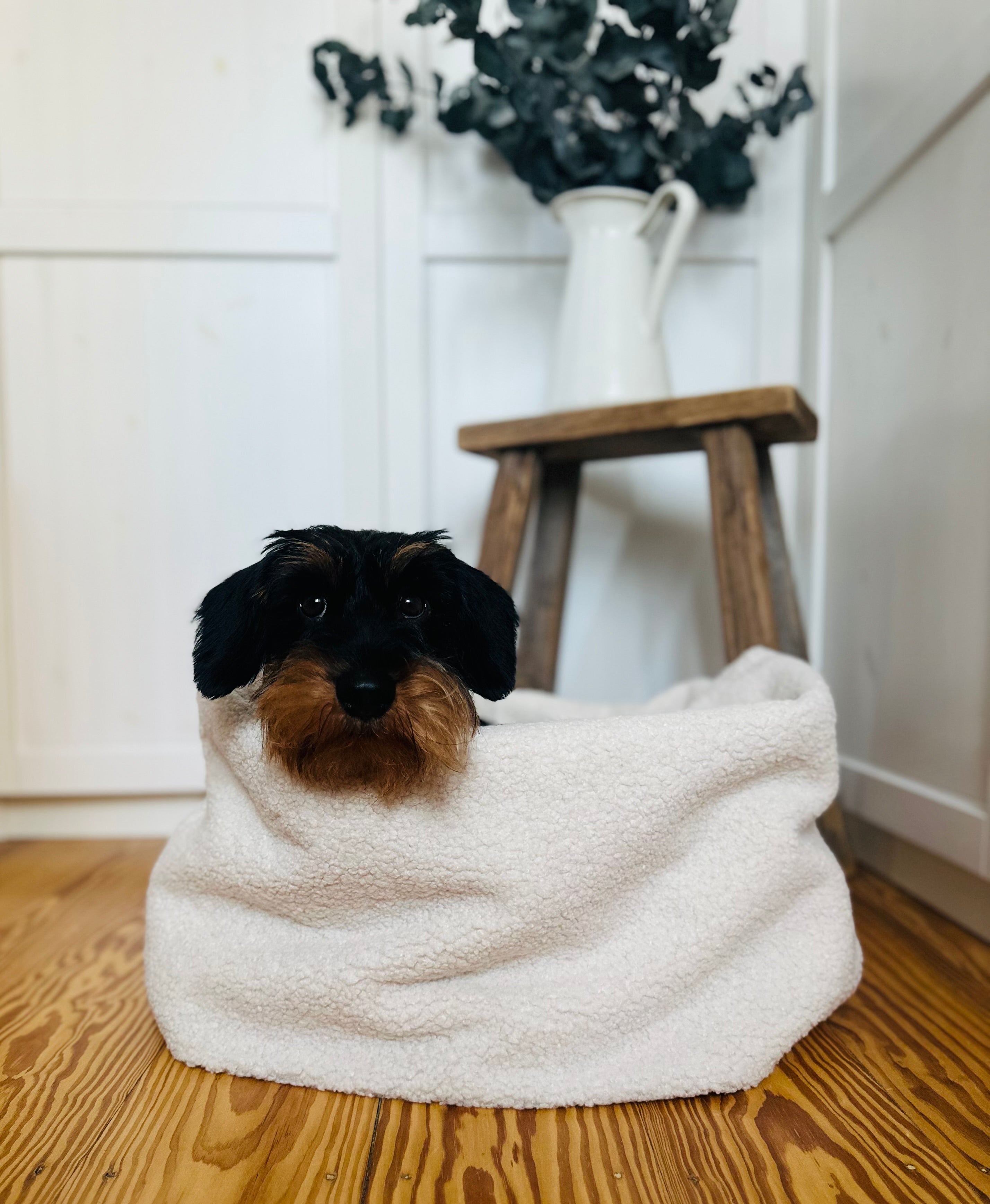 KUSCHELNESTCHEN CREME