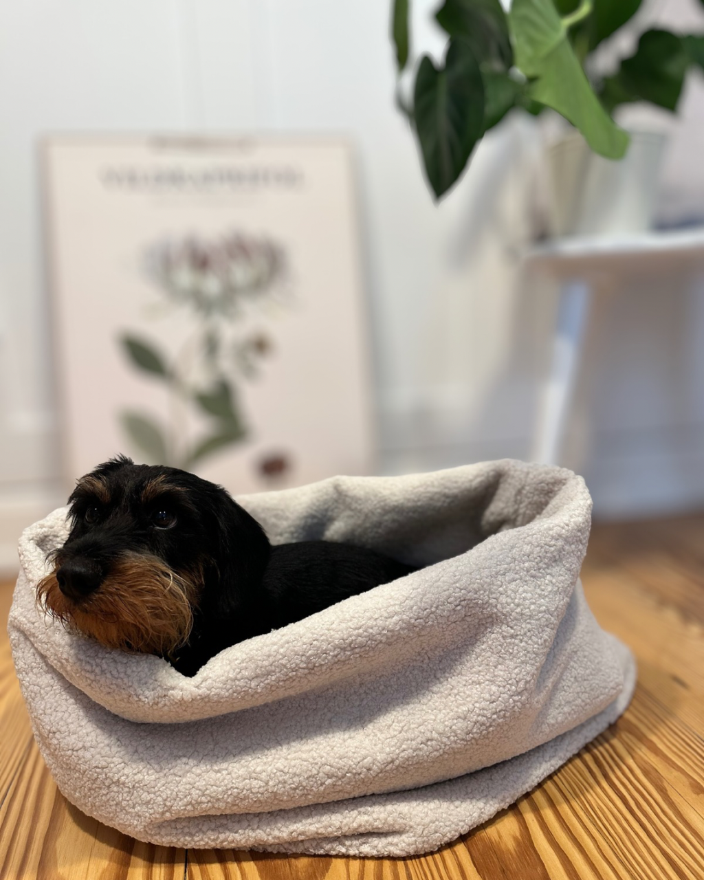 Kuschelnestchen 3