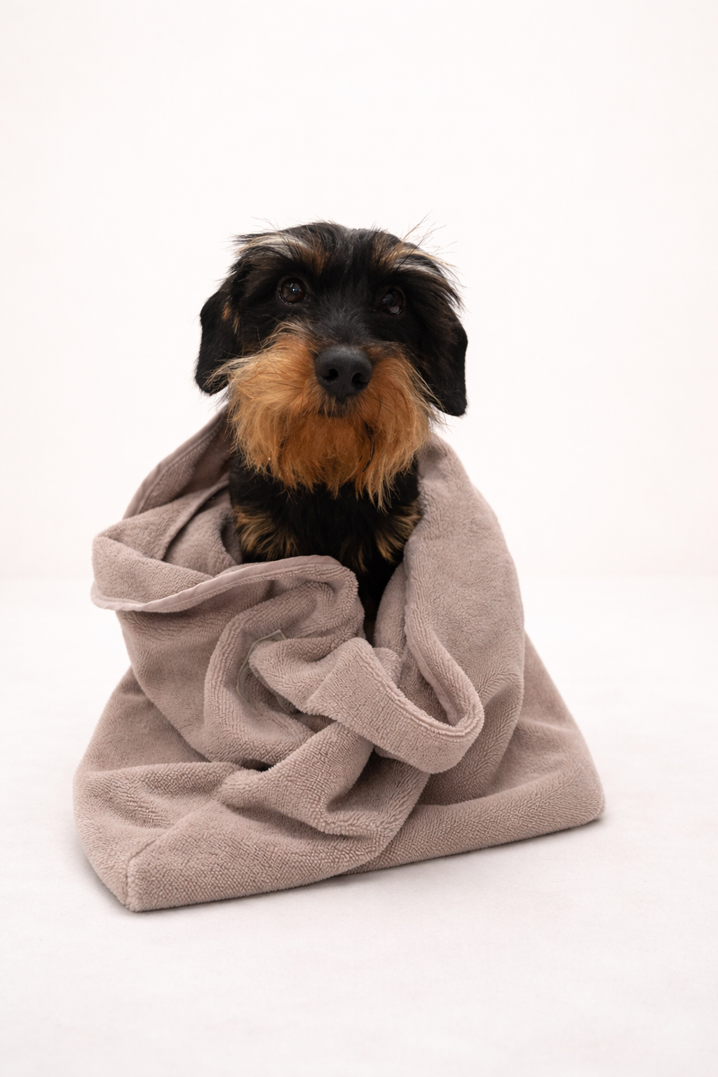 Schmuddelsack® TAUPE