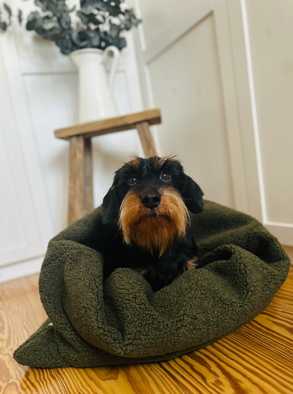 KUSCHELNESTCHEN OLIV