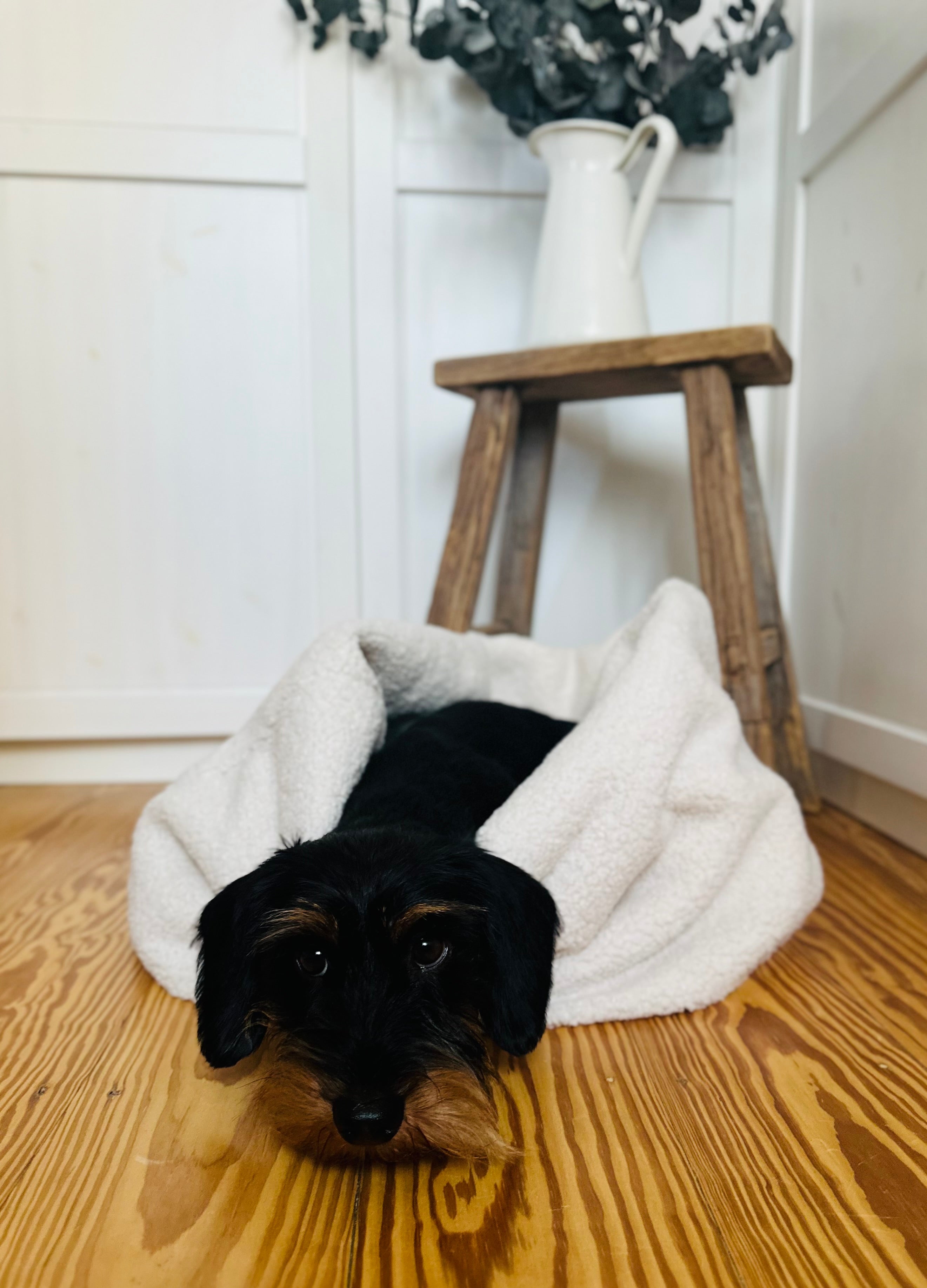 KUSCHELNESTCHEN CREME