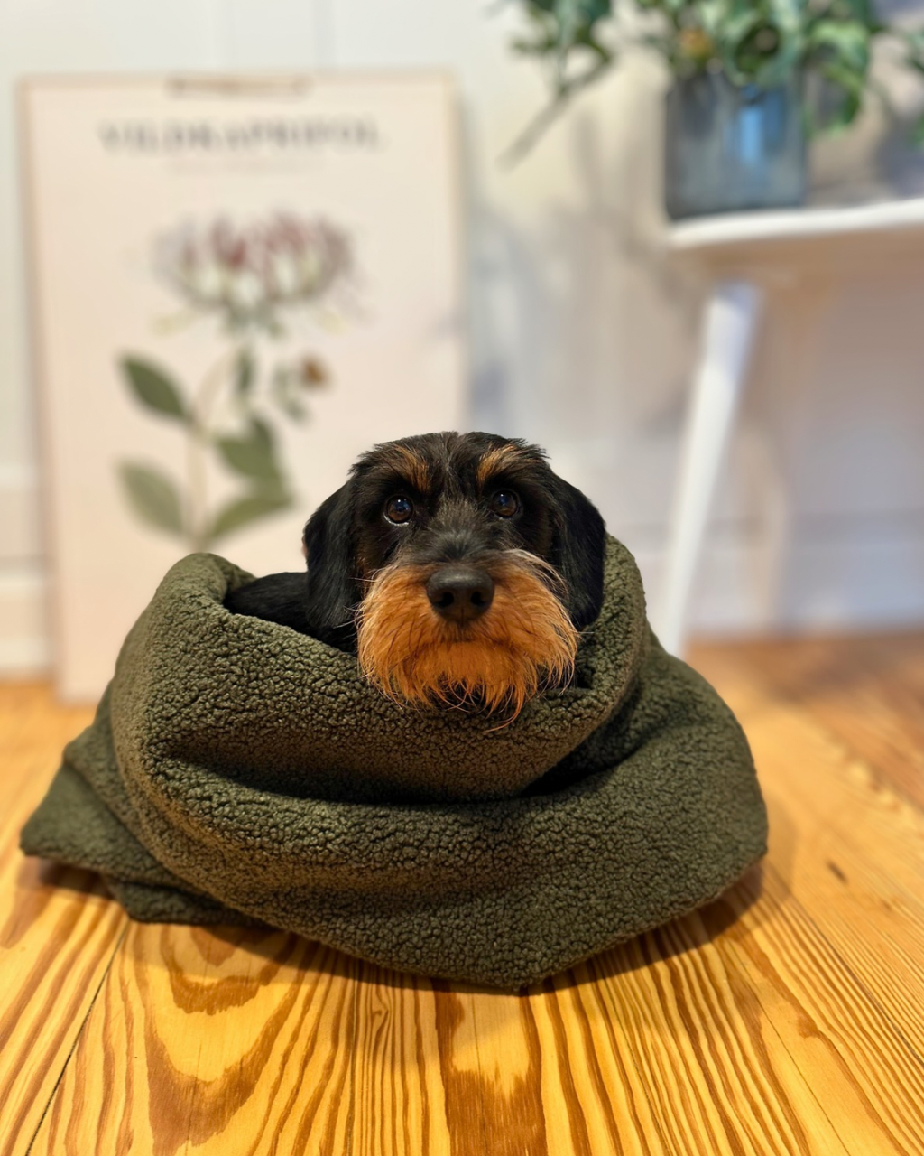 Kuschelnestchen
