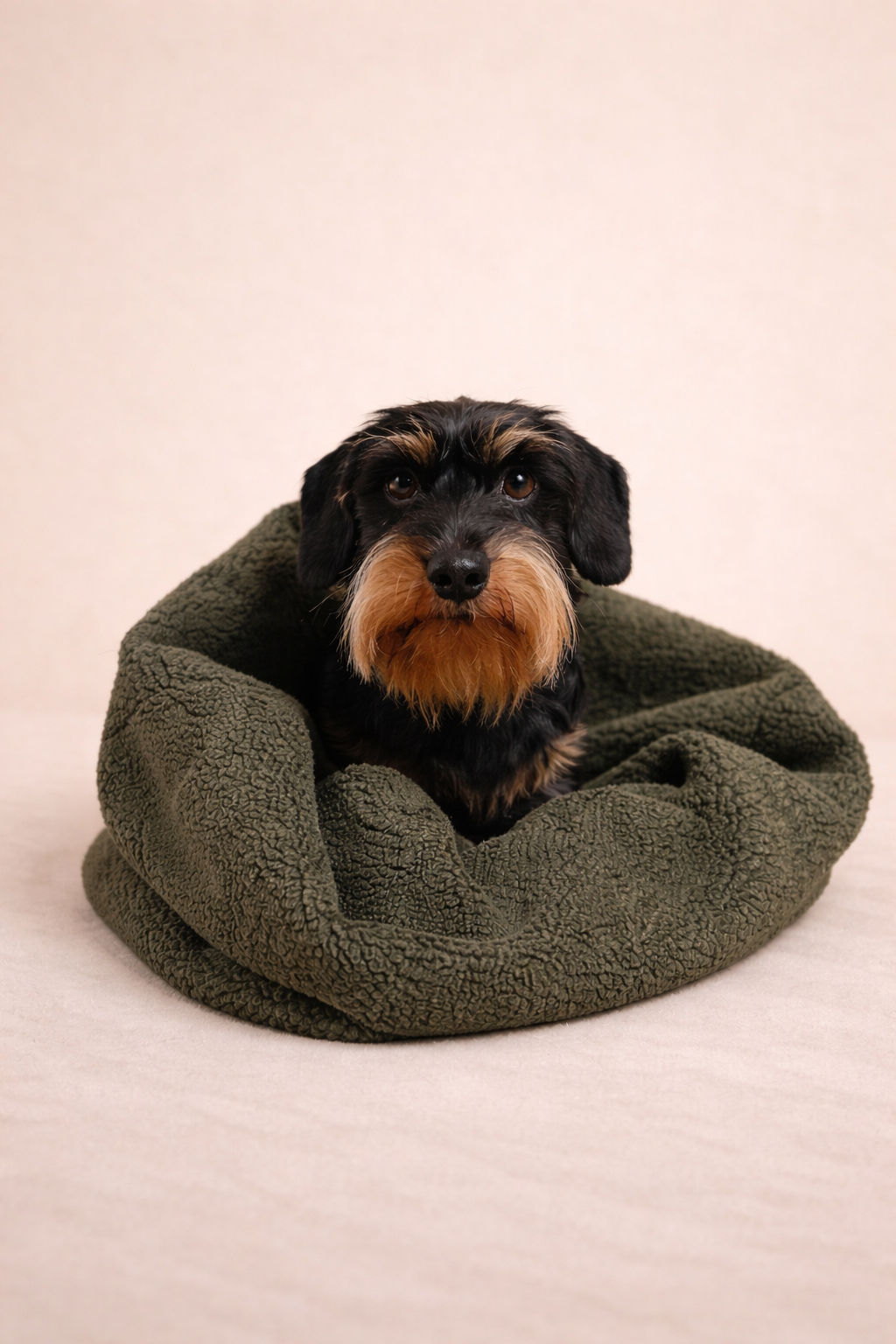 KUSCHELNESTCHEN OLIV